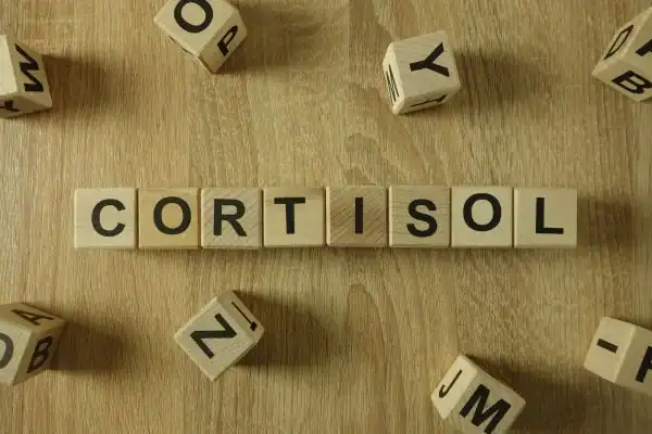 The Hidden Connection: How Stress Shapes Your Fitness and Body Composition 2 Image saying "Cortisol" and how stress Rugby impacts your wellbeing and bodies shape